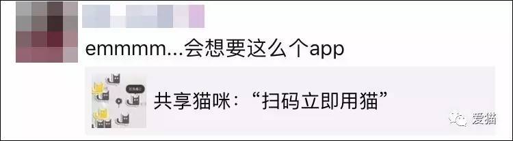 猫咪app网址下载（安卓APP下载网址）