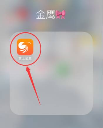 掌上金鹰app下载（掌上金鹰app下载苹果）