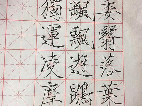 瘦金体字体下载安装（瘦金体字体下载安装手机）