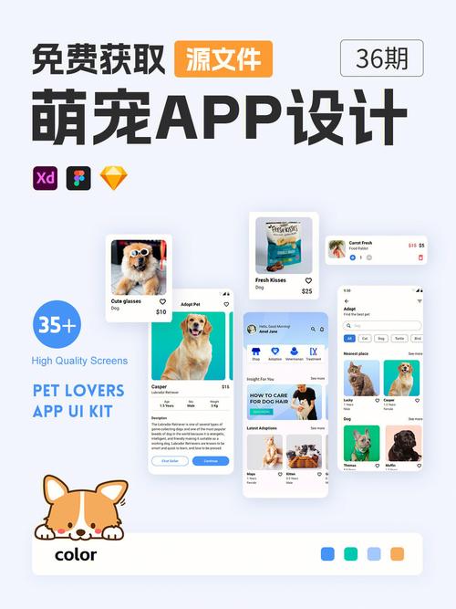 app宠物模板下载（宠物app界面模板设计）