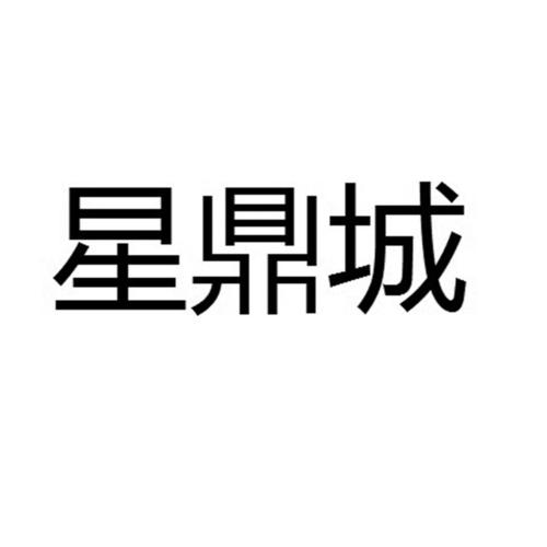 鼎城大系统app下载（鼎城网络有限公司）