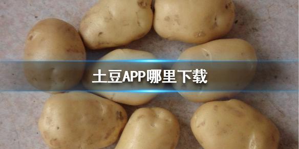 下载土豆app（下载土豆app下载安装）