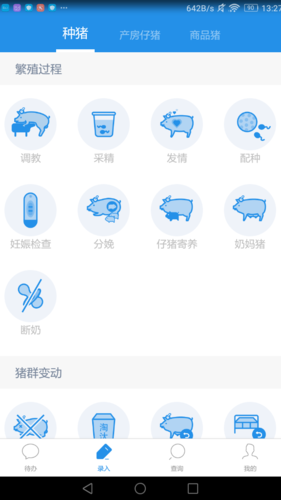 养猪下载什么app（养猪下载什么）