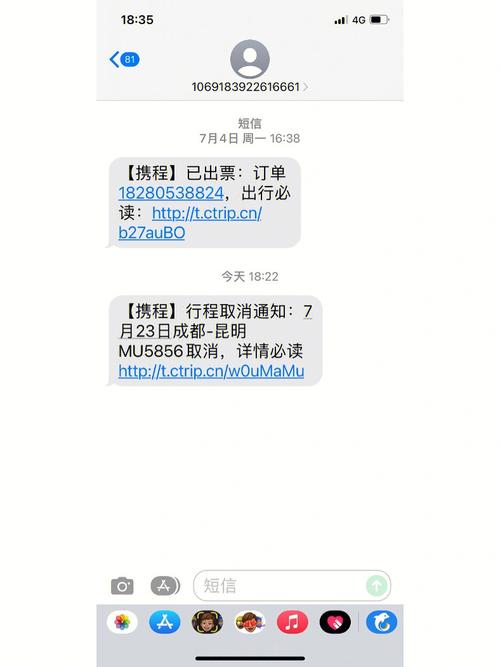 下载携程app（下载携程APP退票）