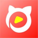 猫咪视频下载官方app（猫咪视频app下载链接 下载）