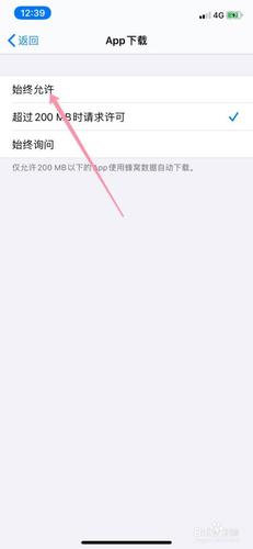 苹果流量下载app（苹果流量下载设置）