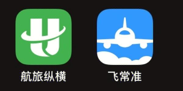 下载航旅纵横app（下载航旅纵横app可以网上值机）