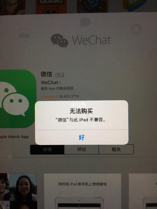 ipadmini不能下载app（ipadmini不能下载微信怎么办）