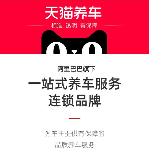 天猫汽车app下载（天猫汽车app下载官网）