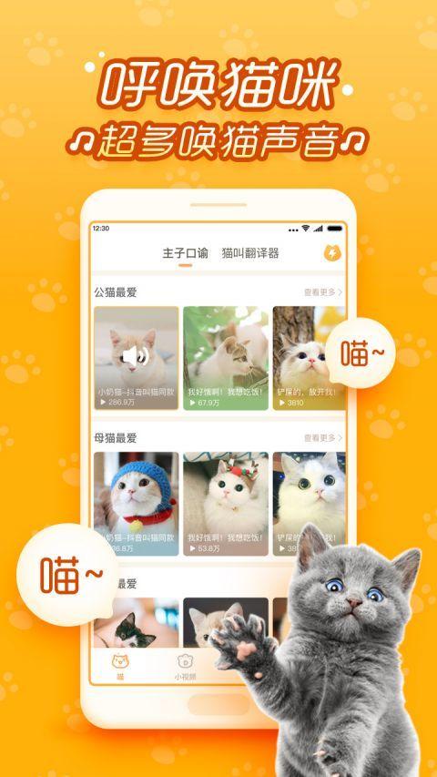 猫卡app下载（猫卡有什么作用）