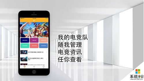 鸿鹄app下载（鸿鹄网可信吗）