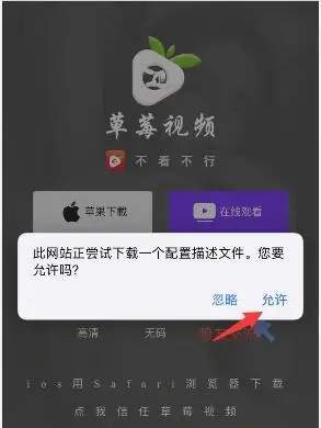 如何下载APP里的视频（如何下载app上的视频）