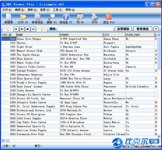 dbf下载安装官方下载（dbf阅读器官方下载）