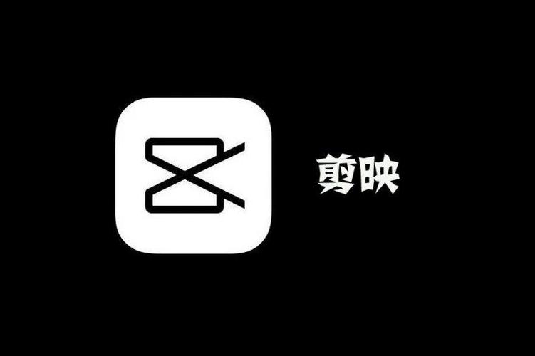 字幕下载app（字幕下载后显示不出来）