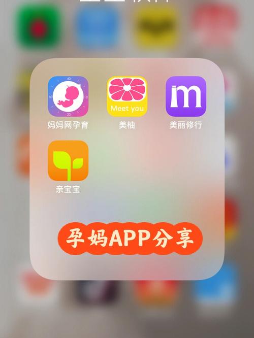 孕妇全集下载安装（怀孕下载的软件叫什么）