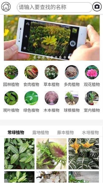 植物识别app软件下载（植物识别软件app叫什么）