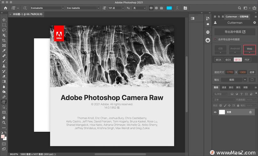 adobecameraraw-Adobe Camera Raw增效工具